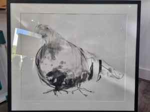 Benedict Gubb -Leaning Pigeon Charcoal on paper  - Framed