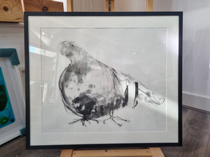 Benedict Gubb -Leaning Pigeon Charcoal on paper  - Framed