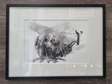 Load image into Gallery viewer, Benedict Gubb - Pigeon Just Landed - Charcoal on paper - Framed