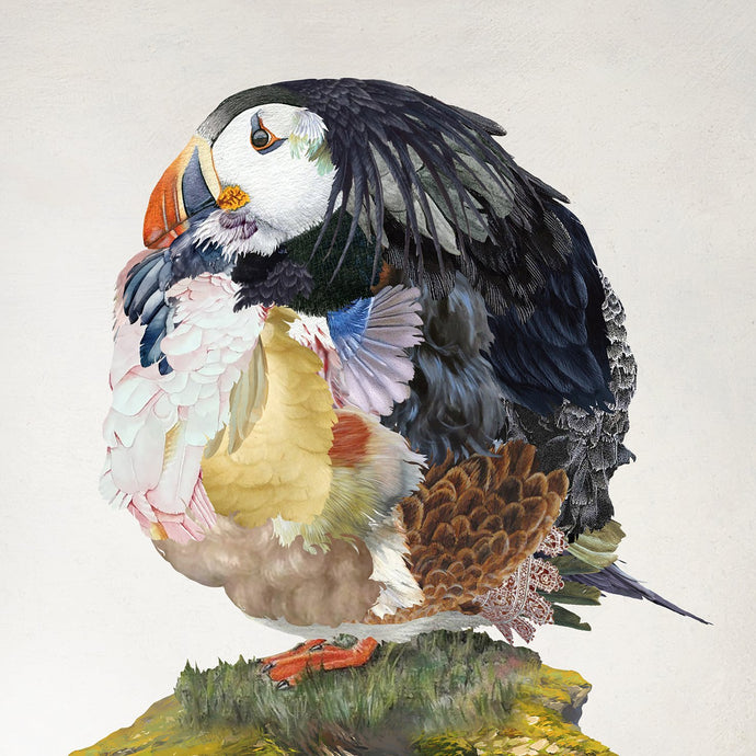 Rosco Brittin - A Common Puffin Print - unframed