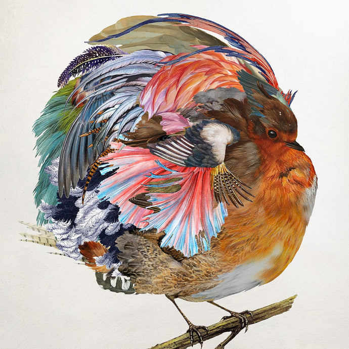 Rosco Brittin - A Common Robin Print - unframed