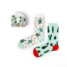 Load image into Gallery viewer, Ladies Greenhouse Socks Gift Set