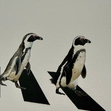 Load image into Gallery viewer, Abbey Road (African Penguins)-Original-Jameson Robinson