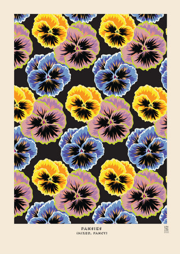 Lou Taylor - Pansy Mixed Fancy - Fine Art Giclee print A3