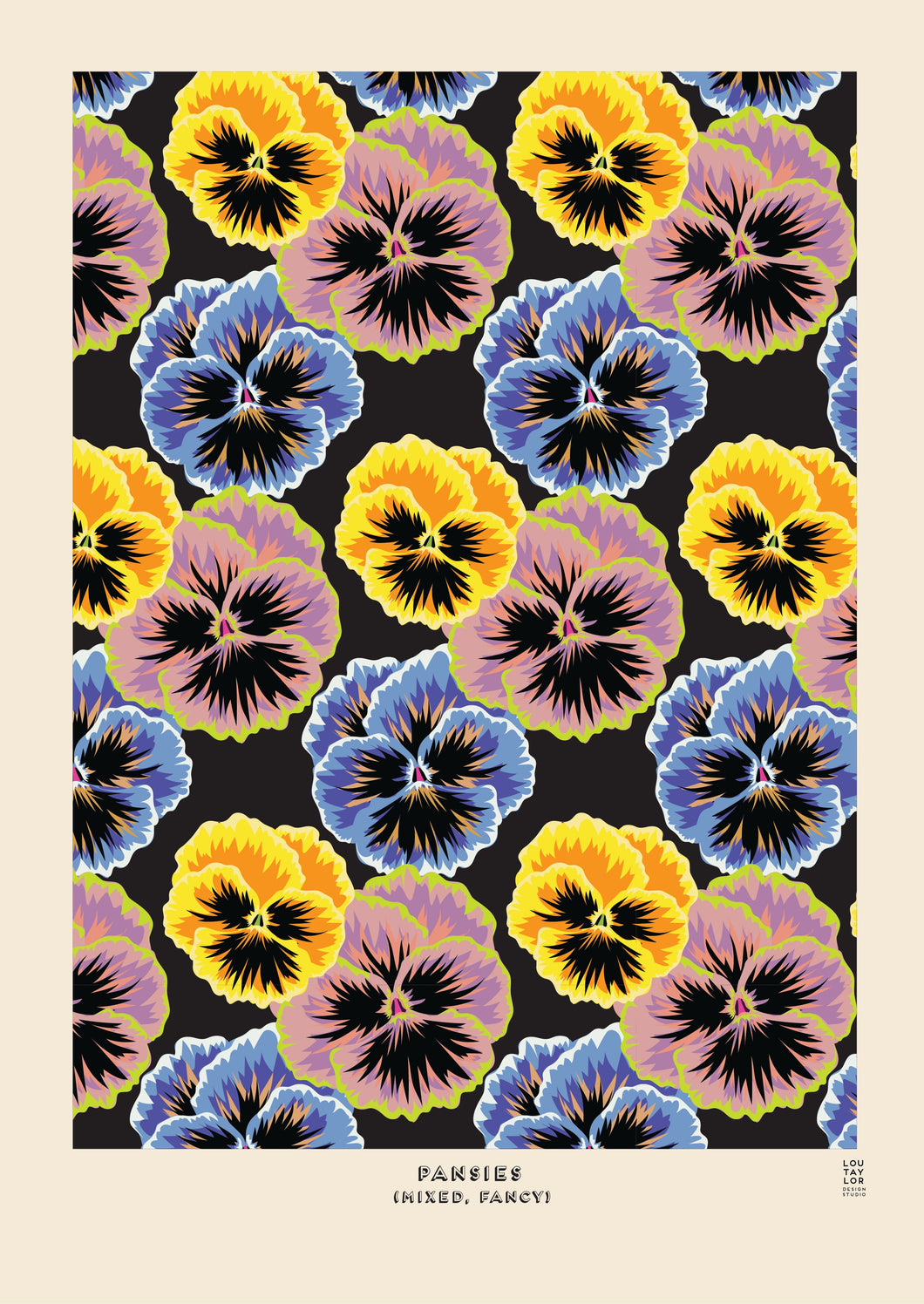 Lou Taylor - Pansy Mixed Fancy - Fine Art Giclee print A3