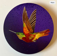 Load image into Gallery viewer, Louise McNaught -  Chestnut Bellied Hummingbird Circular painting