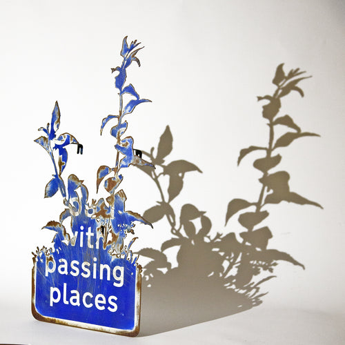 Dan Rawlings - Passing Places