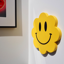 Load image into Gallery viewer, Chubba Chub Smiley By Show Pony -  25cm diameter
