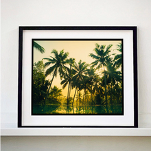 Load image into Gallery viewer, Vetyver Pool, Poovar, Kerala, 2013-  Richard Heeps - Framed