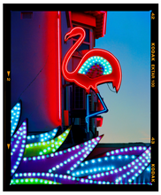 Load image into Gallery viewer, Neon Flamingo - Richard Heeps 112x85cm Black frame