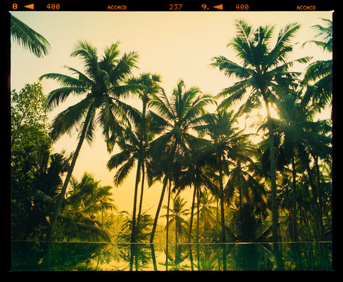 Vetyver Pool, Poovar, Kerala, 2013-  Richard Heeps - Framed