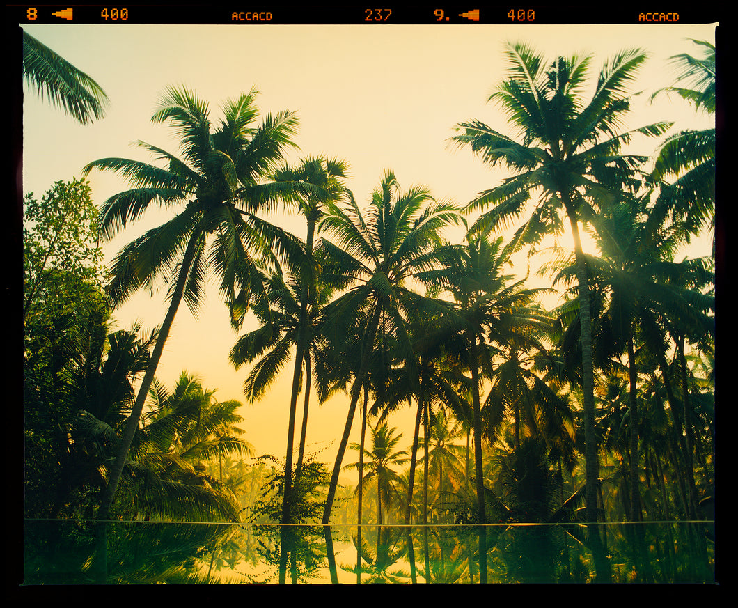 Vetyver Pool, Poovar, Kerala, 2013-  Richard Heeps - Framed