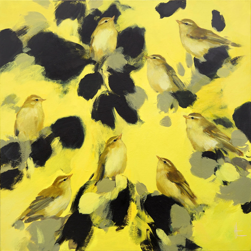 Heidi Langridge - Resting warblers in Chrome yellows and black - 76 x 76cm