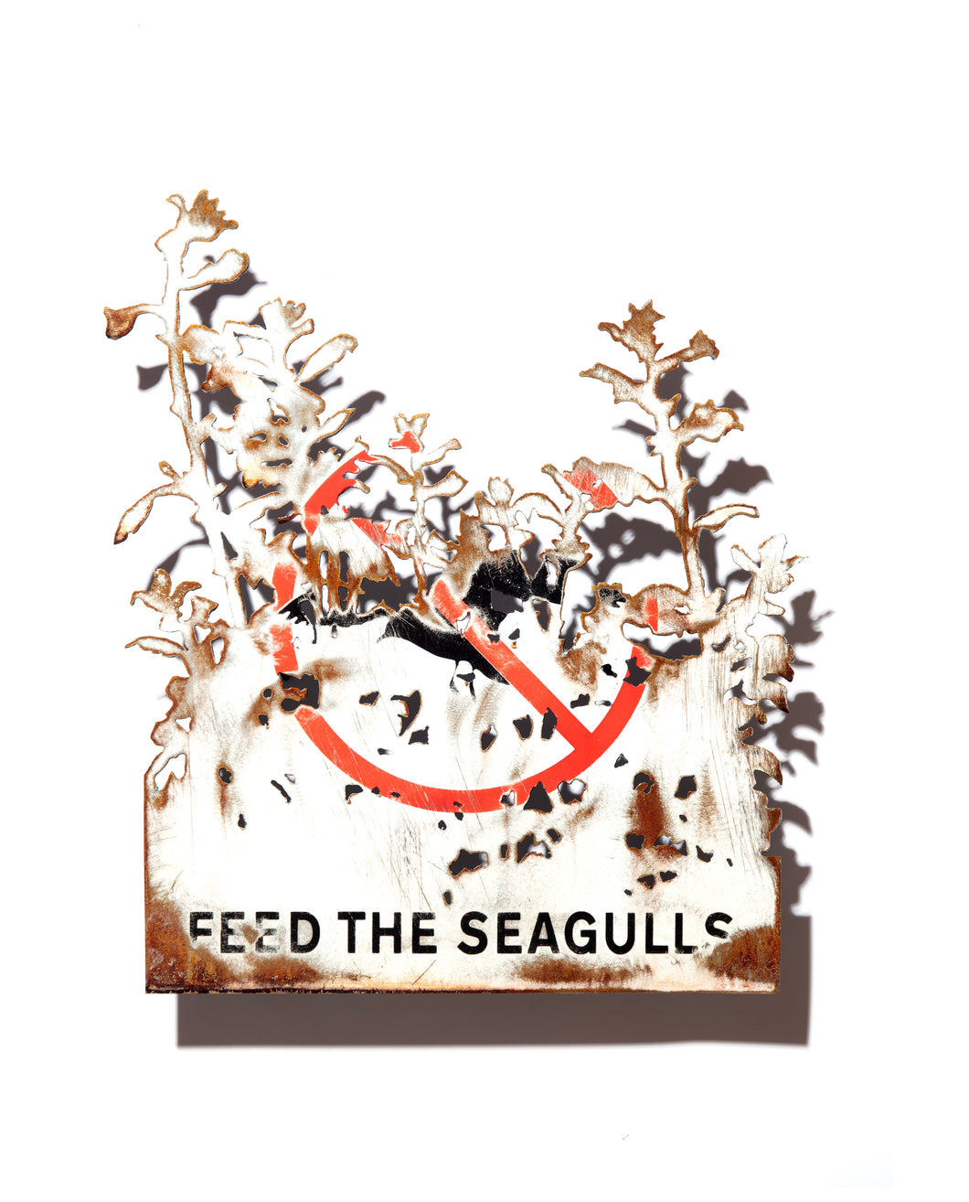 Dan Rawlings - Blackthorn Gulls