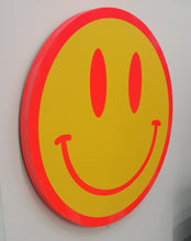 Load image into Gallery viewer, Large Smiley Neon Pink outline- Show Pony - 35cm
