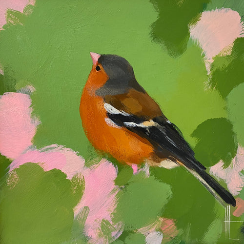Heidi Langridge - Chaffinch Looking Up