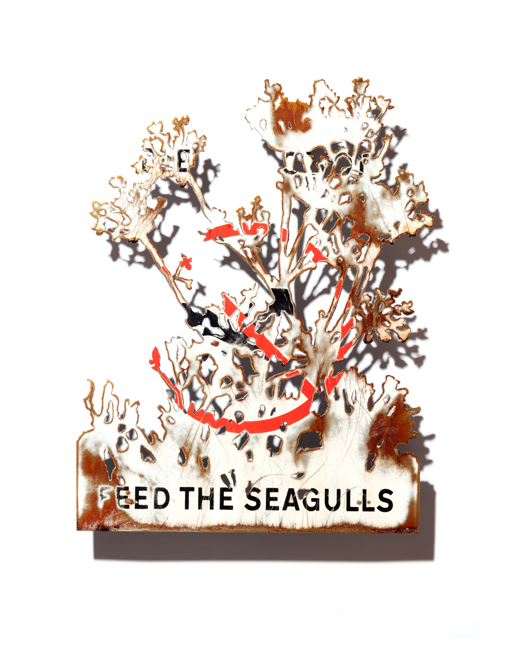 Dan Rawlings - Yarrow Gulls