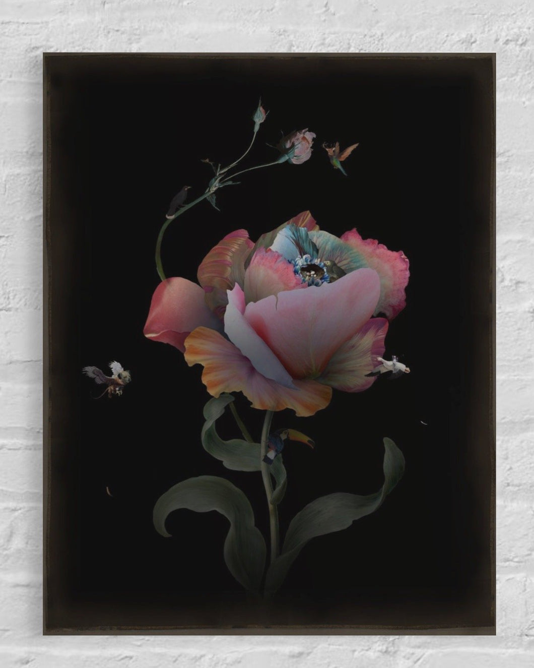 Rosco Brittin - 'Lover’s Black Eye’ A4 - Unframed / Framed