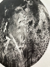 Load image into Gallery viewer, Rosie Emerson - Aria 3, Photopolymer etching on paper Framed