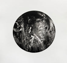 Load image into Gallery viewer, Rosie Emerson - Aria 3, Photopolymer etching on paper Framed