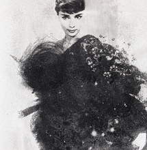 Load image into Gallery viewer, Rosie Emerson - Audrey